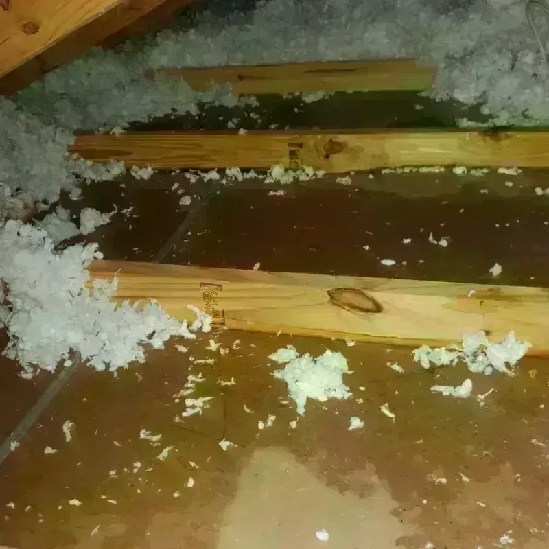 Best Attic Water Damage Service in Fuquay-Varina, NC