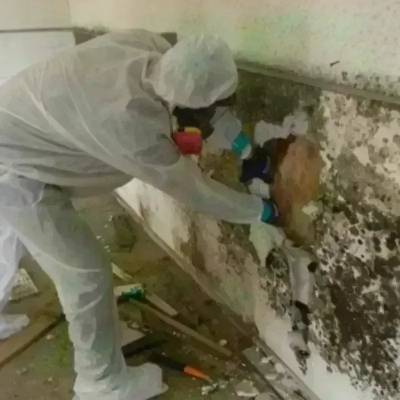 Mold Remediation and Removal in Fuquay-Varina, NC