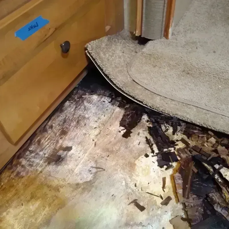 Best Wood Floor Water Damage Service in Fuquay-Varina, NC